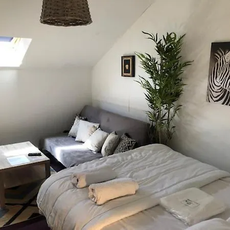 Aparthotel Victor Hugo Et Sa Pizza Offerte Aurillac
